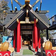 投稿日:2020年11月14日 写真