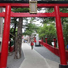 投稿日:2024年8月15日 写真