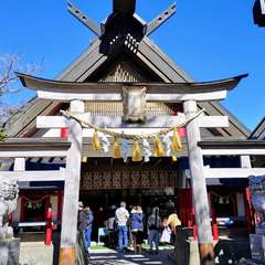 投稿日:2020年11月14日 写真