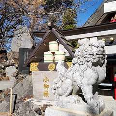 投稿日:2020年11月14日 写真