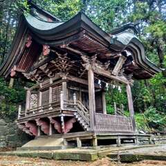 写真