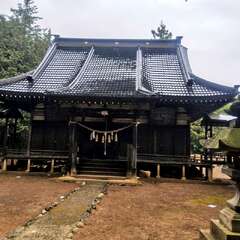 写真
