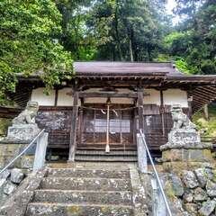 写真