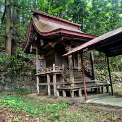 写真