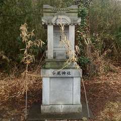 写真