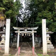 写真