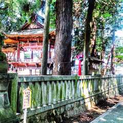 菅田天神社 参道から神楽殿を臨む(投稿日:2016年7月16日) 写真