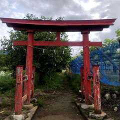 写真