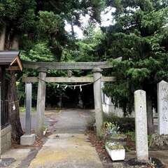 写真