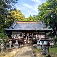 写真