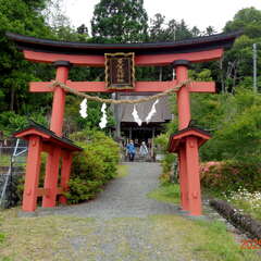 写真