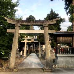 写真
