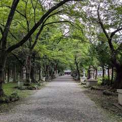 投稿日:2024年8月25日 写真