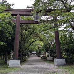 投稿日:2024年8月25日 写真