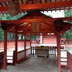 投稿日:2024年6月21日 写真