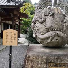 投稿日:2019年9月14日 写真