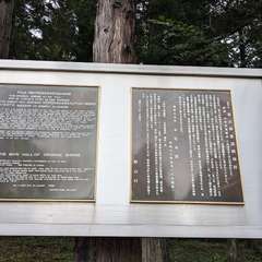 投稿日:2024年8月25日 写真