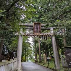 投稿日:2024年8月25日 写真