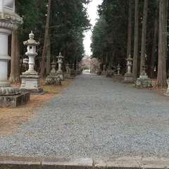 投稿日:2024年6月21日 写真