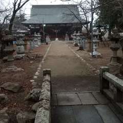 写真