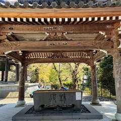 投稿日:2022年4月9日 写真