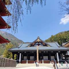 投稿日:2022年4月9日 写真