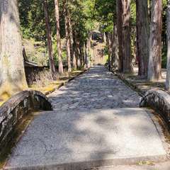 投稿日:2022年4月9日 写真