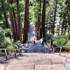 投稿日:2022年4月9日 写真