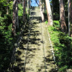 投稿日:2021年10月18日 写真