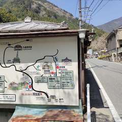 投稿日:2022年4月9日 写真