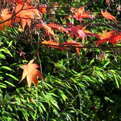 投稿日:2023年3月9日 写真
