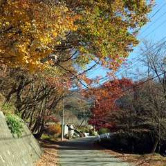 投稿日:2023年3月9日 写真