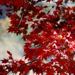 投稿日:2023年3月9日 写真