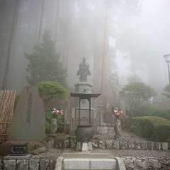 投稿日:2019年7月13日 写真