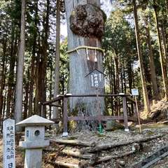 投稿日:2022年4月9日 写真