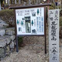 投稿日:2022年4月9日 写真