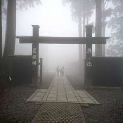 投稿日:2019年7月13日 写真