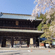 三門