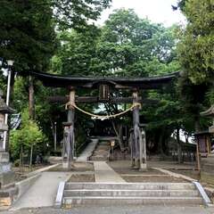 写真