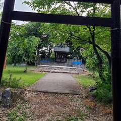 写真