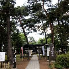 写真