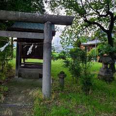写真