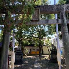 姫宮神社(投稿日:2025年12月15日) 写真
