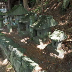 投稿日:2024年8月25日 写真