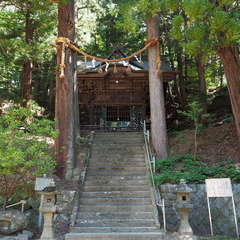 投稿日:2024年8月25日 写真