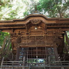 投稿日:2024年8月25日 写真