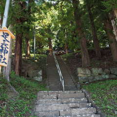 投稿日:2024年8月25日 写真