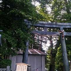 投稿日:2020年9月21日 写真