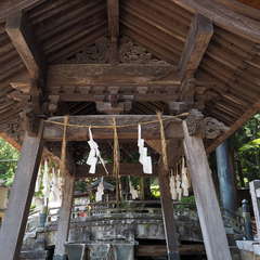 投稿日:2024年10月17日 写真