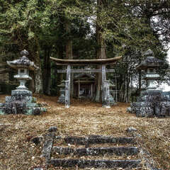 諏訪社(投稿日:2025年2月21日) 写真